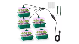 Plateau de germination