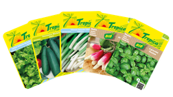 Semences de légumes